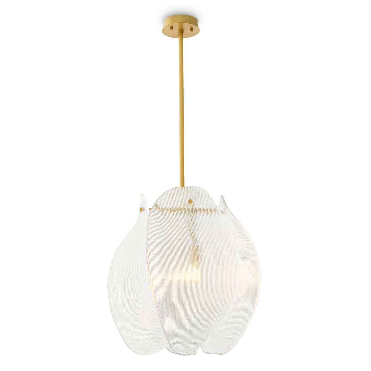 Eichholtz - TM0376 - Lampadario Hibis