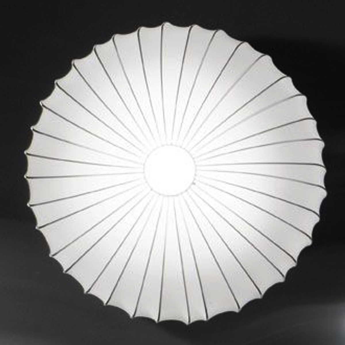 AXO LightApplique Muse