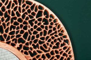 Wandspiegel ABSTRACT LEAF L von Casa Élite